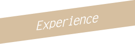 Experience